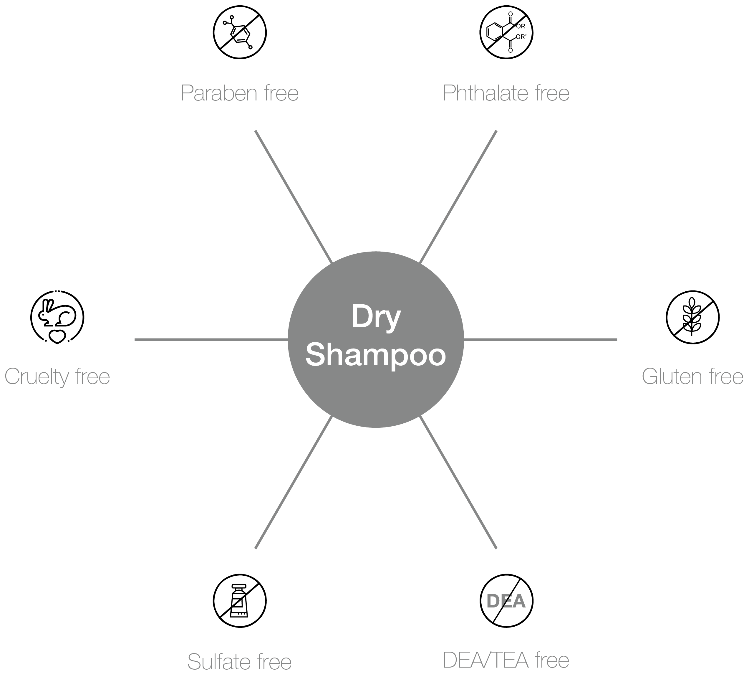 Vegan Dry Shampoo Pro-benefits