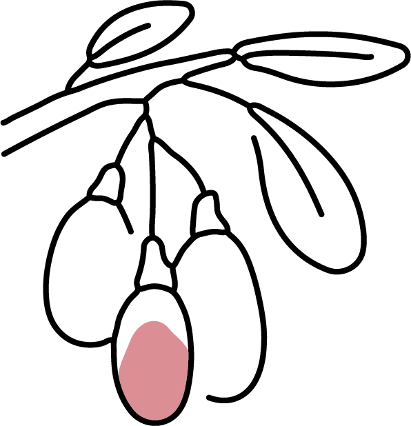 bayas de Goji