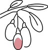 Goji Berry