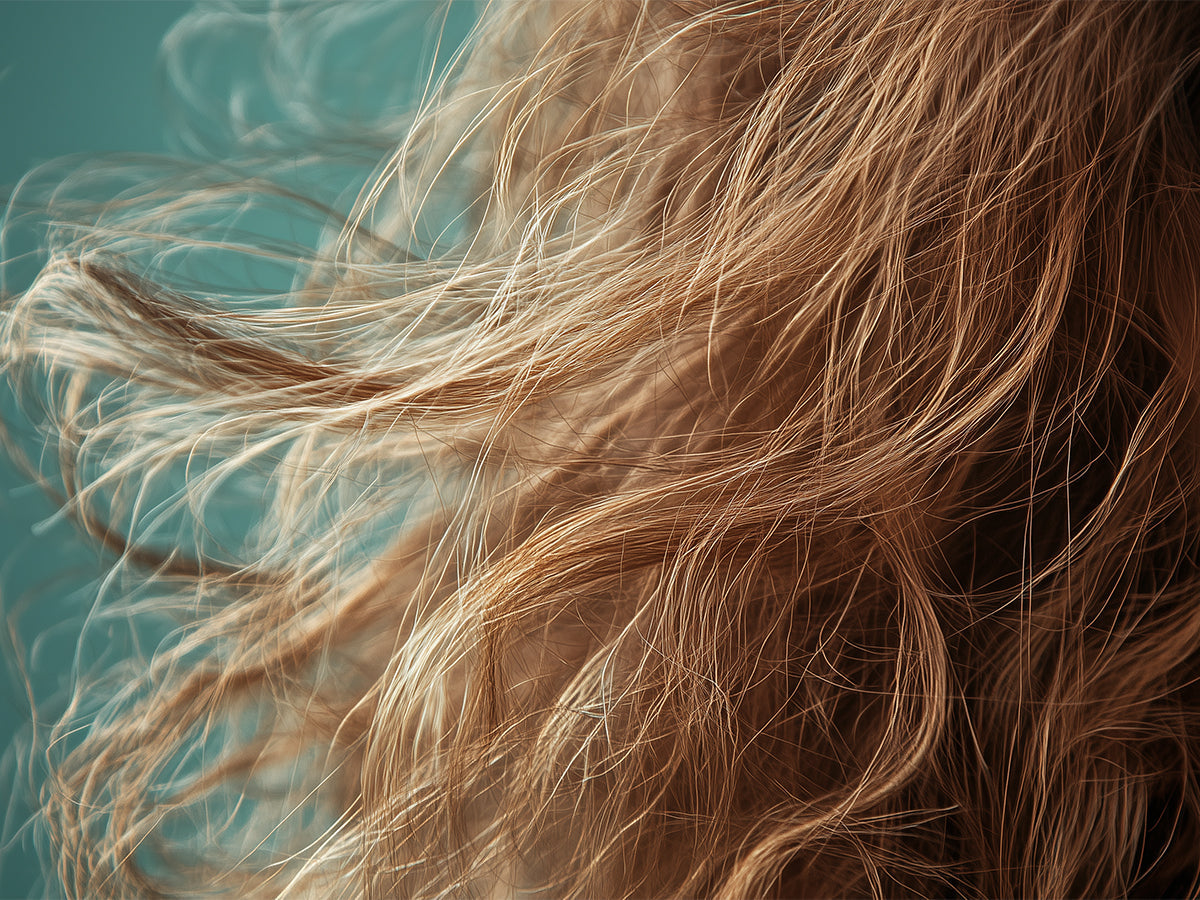 Image Containing a dry and frizzy hair