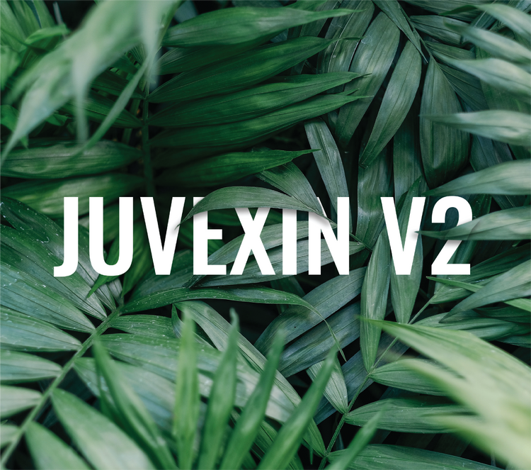GK Hair Juvexin V2 vegan hair care product shown against a plain background