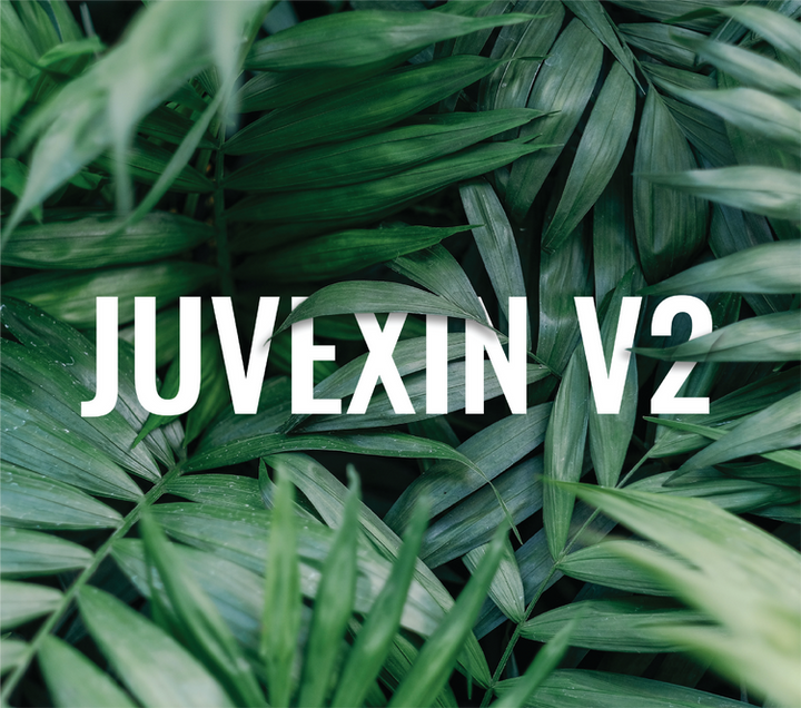 GK Hair Juvexin V2 vegan hair care product shown against a plain background
