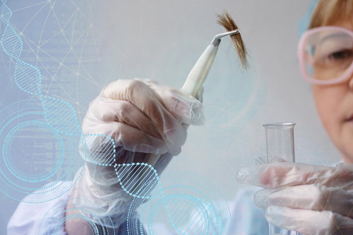 Hair Anatomy 101 - A Comprehensive Guide to What Makes Up Your Locks