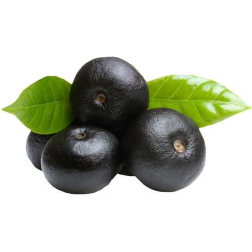 Acai Berry