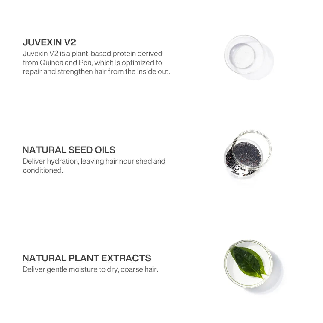 Ingredient panel: Juvexin V2 protein from quinoa and pea, natural seed oils for hydration, plant extracts for dry coarse hair