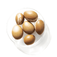 Serum Argan Oil for Hair