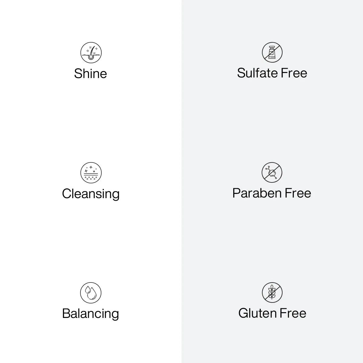 Balancing Shampoo pro