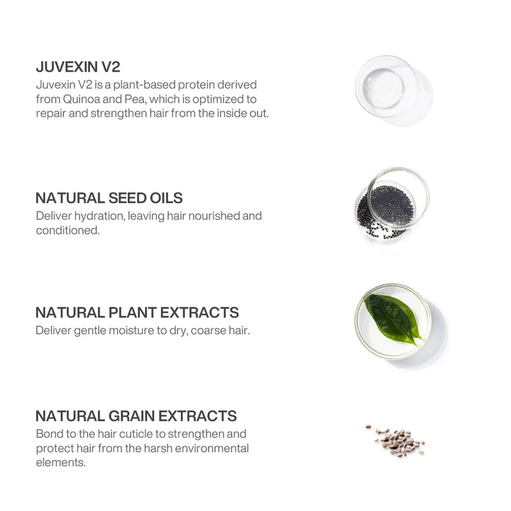 Ingredient chart for Juvexin V2 plant protein, natural seed oils, natural plant extracts and natural grain extracts, shown in dishes
