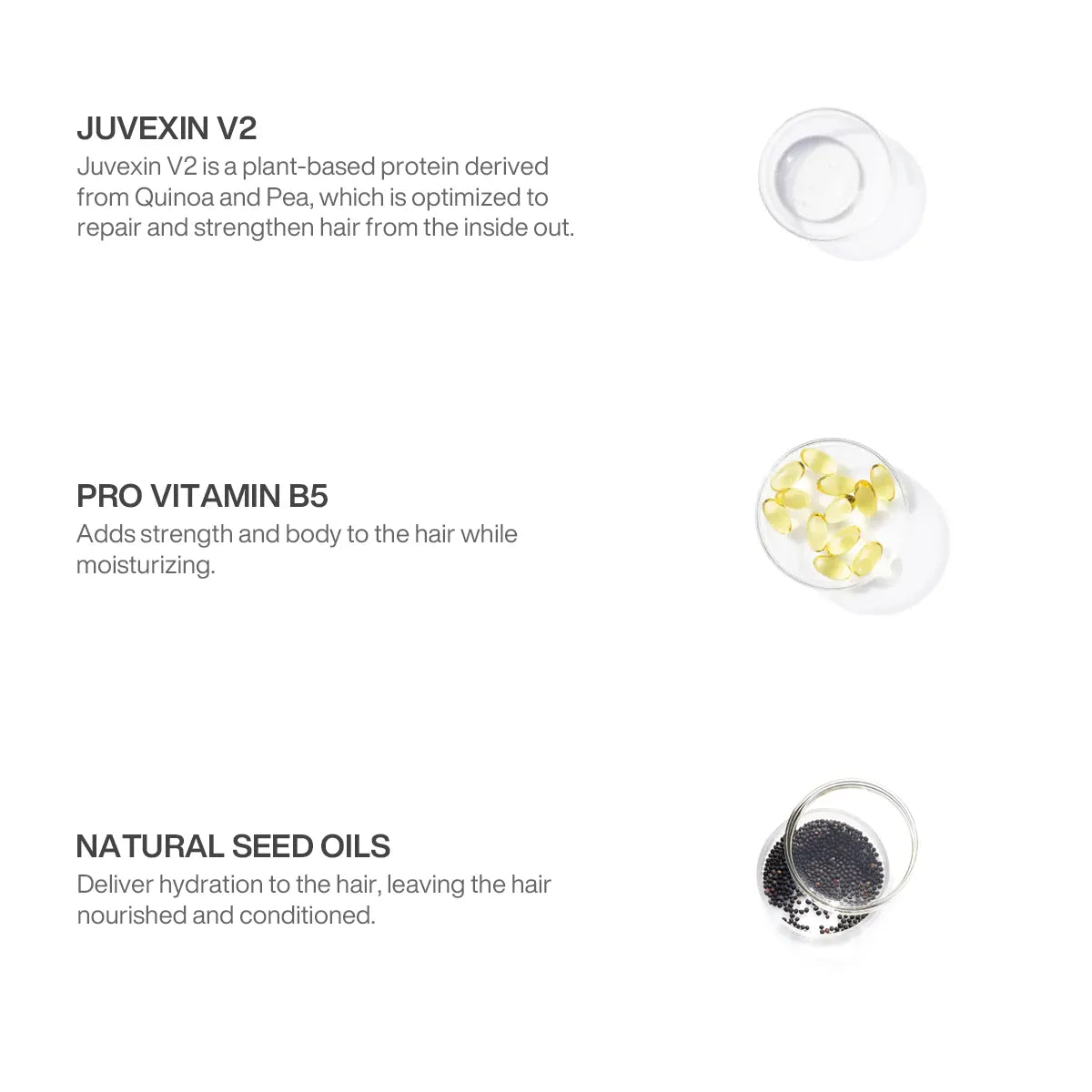 Ingredients in GK Hair CurlsDefineHer
