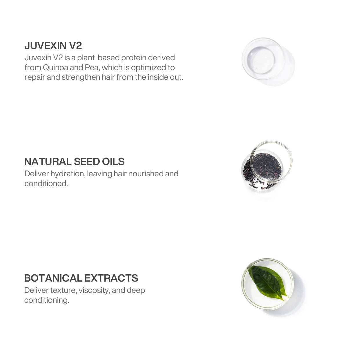 Ingredients in GK Hair's Dry Shampoo