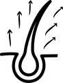 block.settings.icon-text1