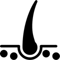 block.settings.icon-text1