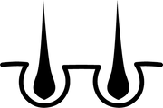 block.settings.icon-text1