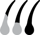 block.settings.icon-text2