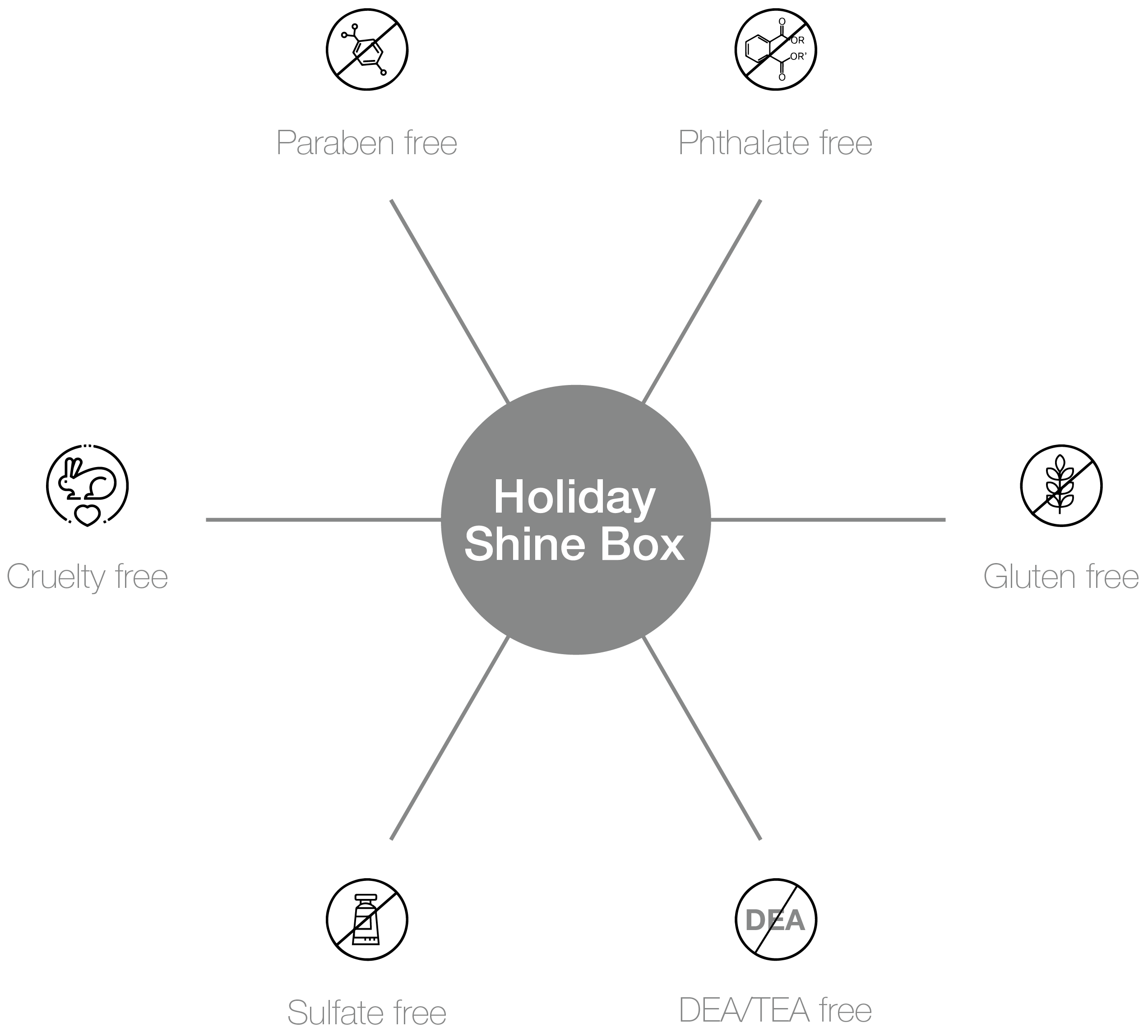 Holiday Shine Box-benefits