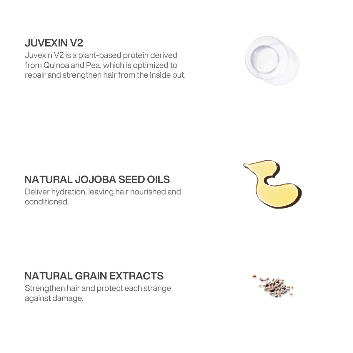Deep Conditioner Hair Treatment DTS