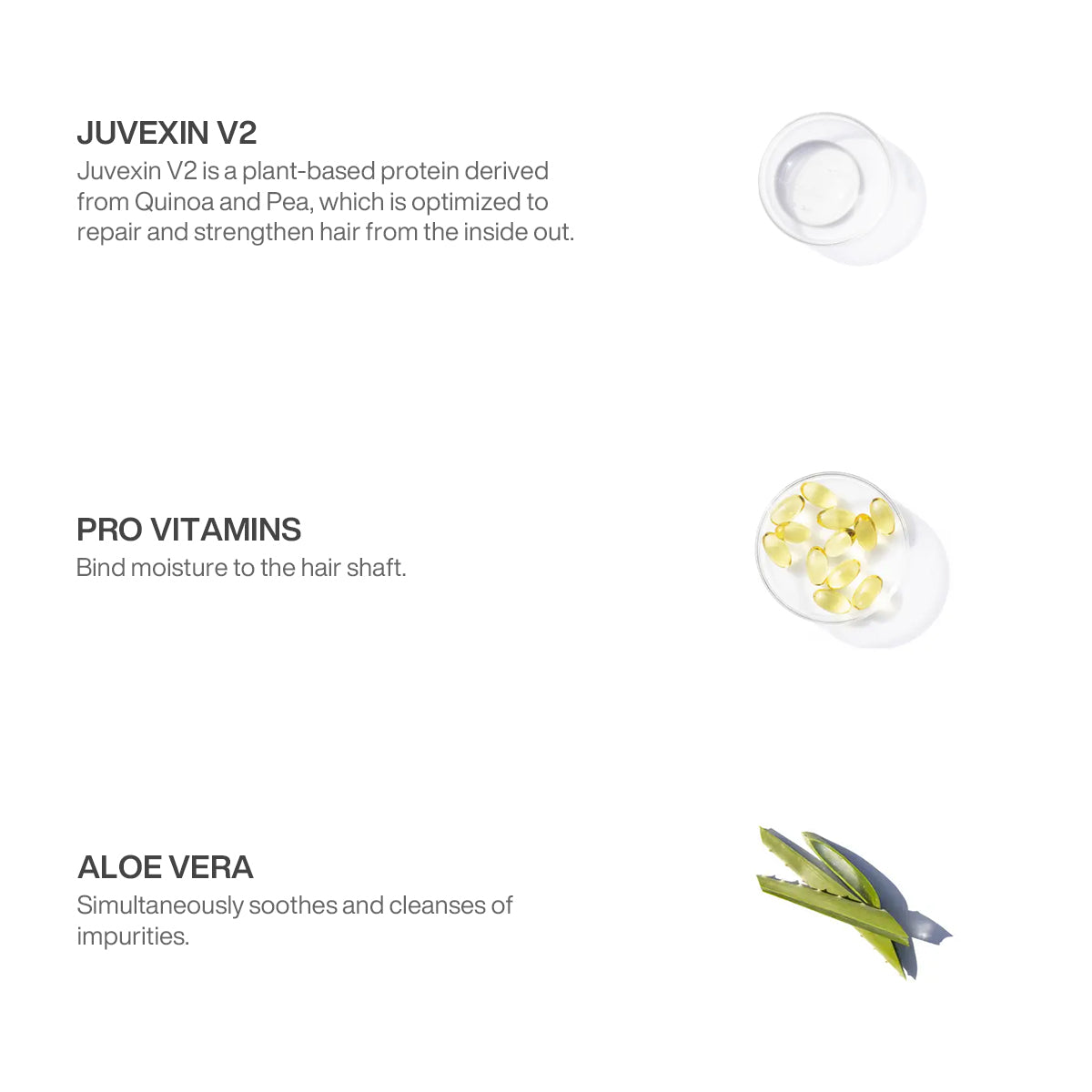 pH+ Shampoo DTS