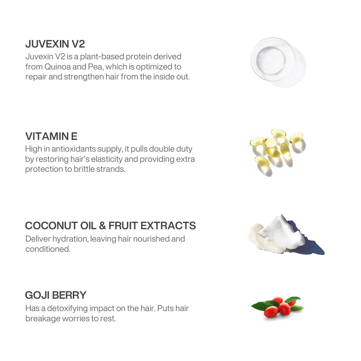 Vegan Duo & The Best Deal
