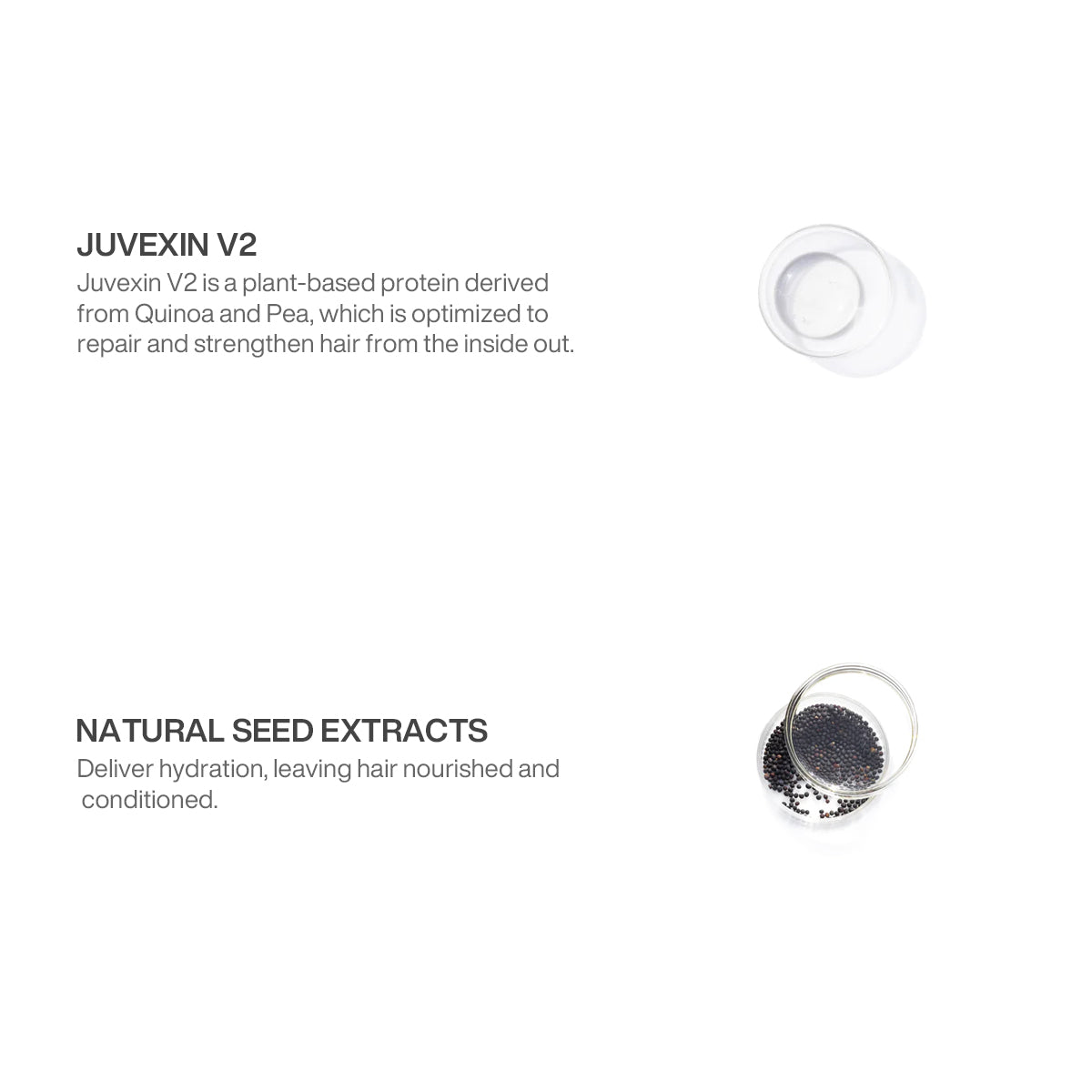 The Best Hair Treatment DTS