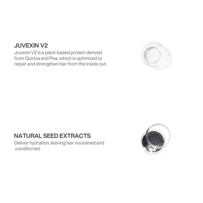 The Best Hair Treatment DTS