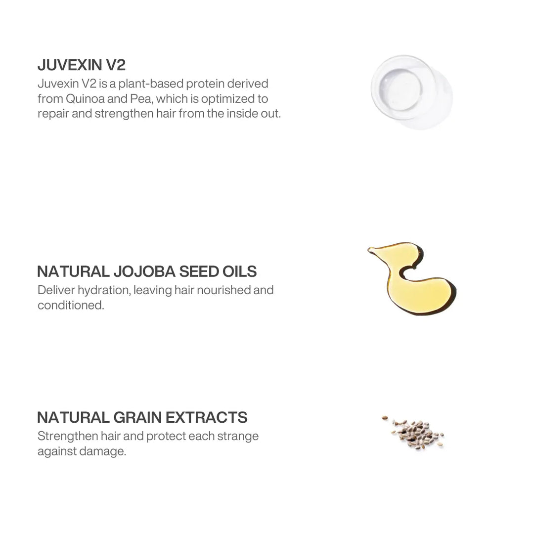GK Hair ingredient panel: Juvexin V2 quinoa and pea protein, natural jojoba seed oils and natural grain extracts on white