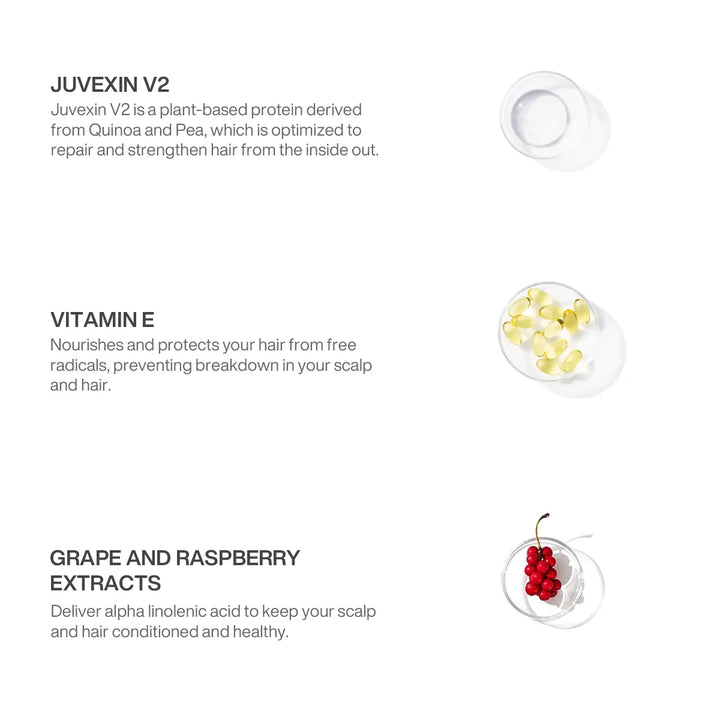 GK Hair Lavender Bombshell Masque Pro ingredients: Juvexin V2 protein, Vitamin E, grape and raspberry extracts for the scalp
