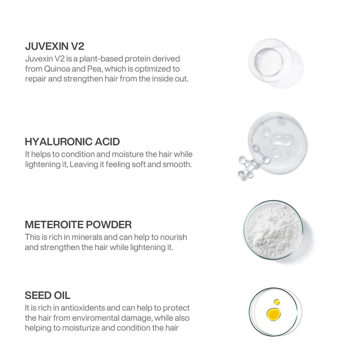 GK Hair Lightening Powder Masque ingredients in glass dishes: Juvexin V2, Hyaluronic Acid, Meteroite Powder and Seed Oil