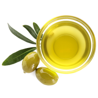 Nanoplastia Hair Treatment