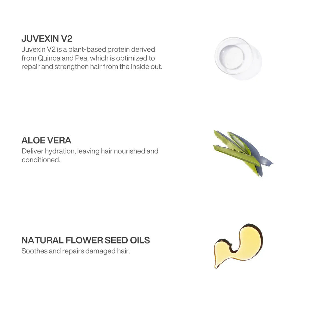 Ingredient panel: Juvexin V2 quinoa and pea protein that repairs and strengthens, Aloe Vera for hydration, flower seed oils to soothe