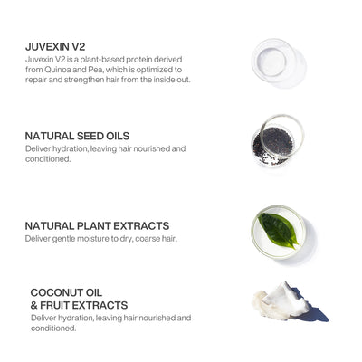 Ingredients in GK Hair's Styling Mousse