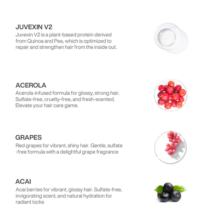 Ingredient panel: Juvexin V2, acerola, red grapes and acai berries for glossy, vibrant, sulfate-free hair, each shown in a glass dish