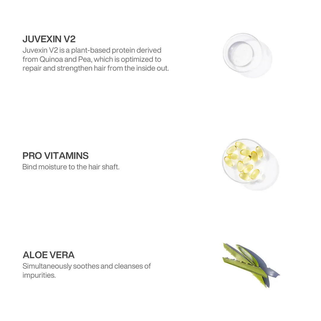 Ingredient panel: Juvexin V2 quinoa and pea protein, Pro Vitamins and aloe vera, shown as clear gel, capsules and aloe leaves