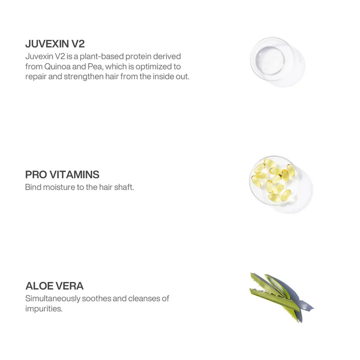 Ingredient panel: Juvexin V2 quinoa and pea protein, Pro Vitamins and aloe vera, shown as clear gel, capsules and aloe leaves