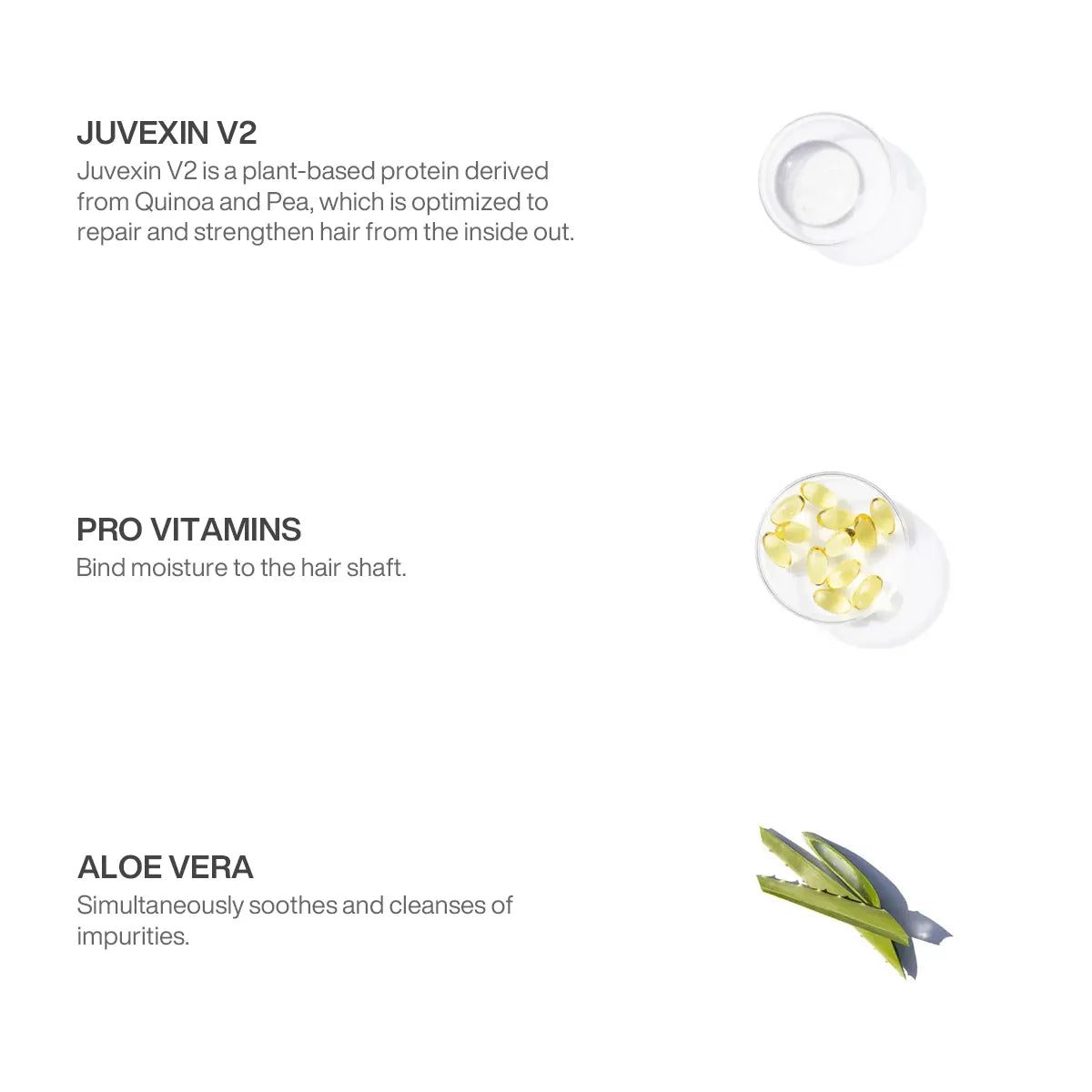 Ingredients in pH+ Shampoo