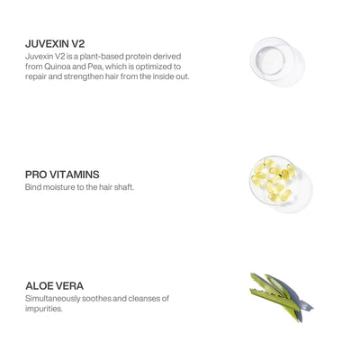 Ingredients in pH+ Shampoo